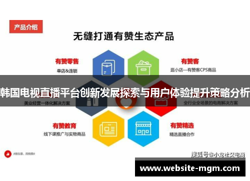 韩国电视直播平台创新发展探索与用户体验提升策略分析